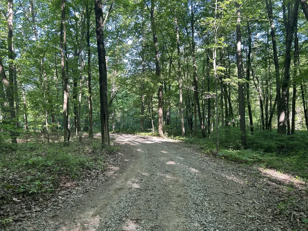 7306 N 37th Street Ross Township MI 49083