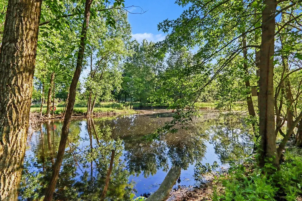 6515 E O Avenue Pavilion Township MI 49048