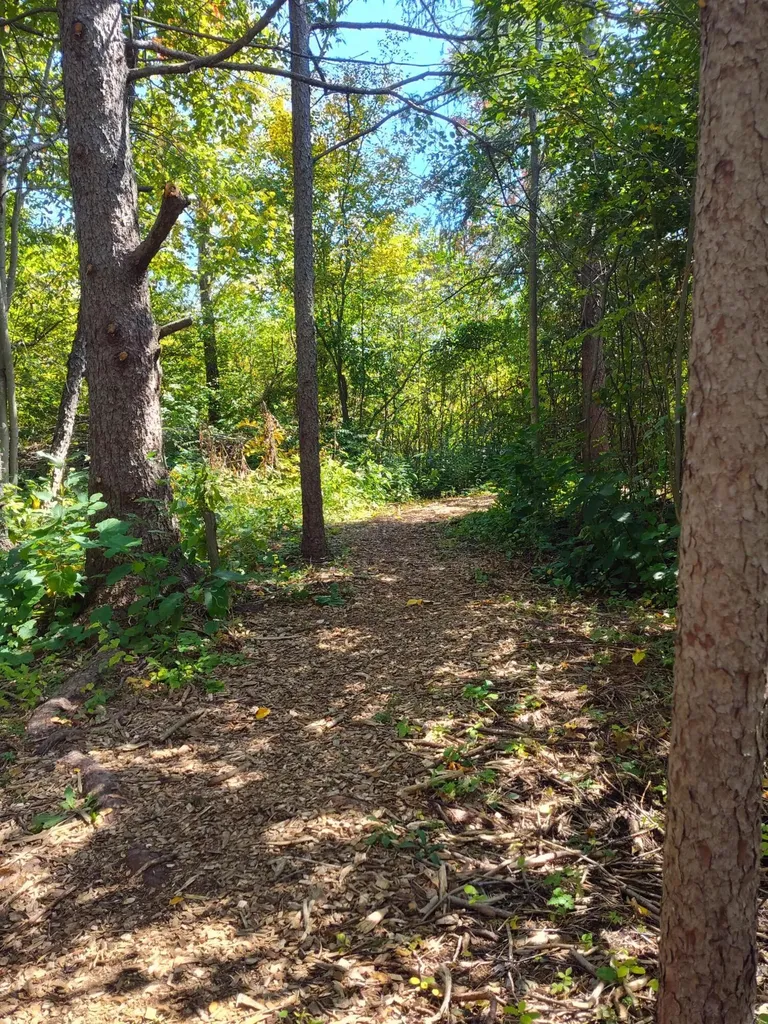 9777 N 16th Street Cooper Charter Township MI 49080