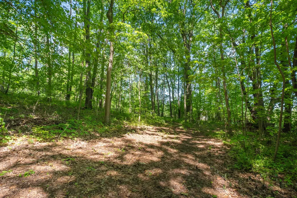 9777 N 16th Street Cooper Charter Township MI 49080