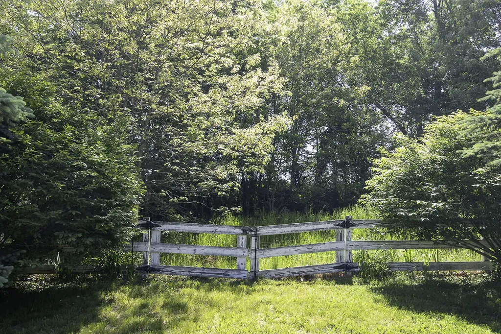50005 Meadow Oak Trail Antwerp Township MI 49071