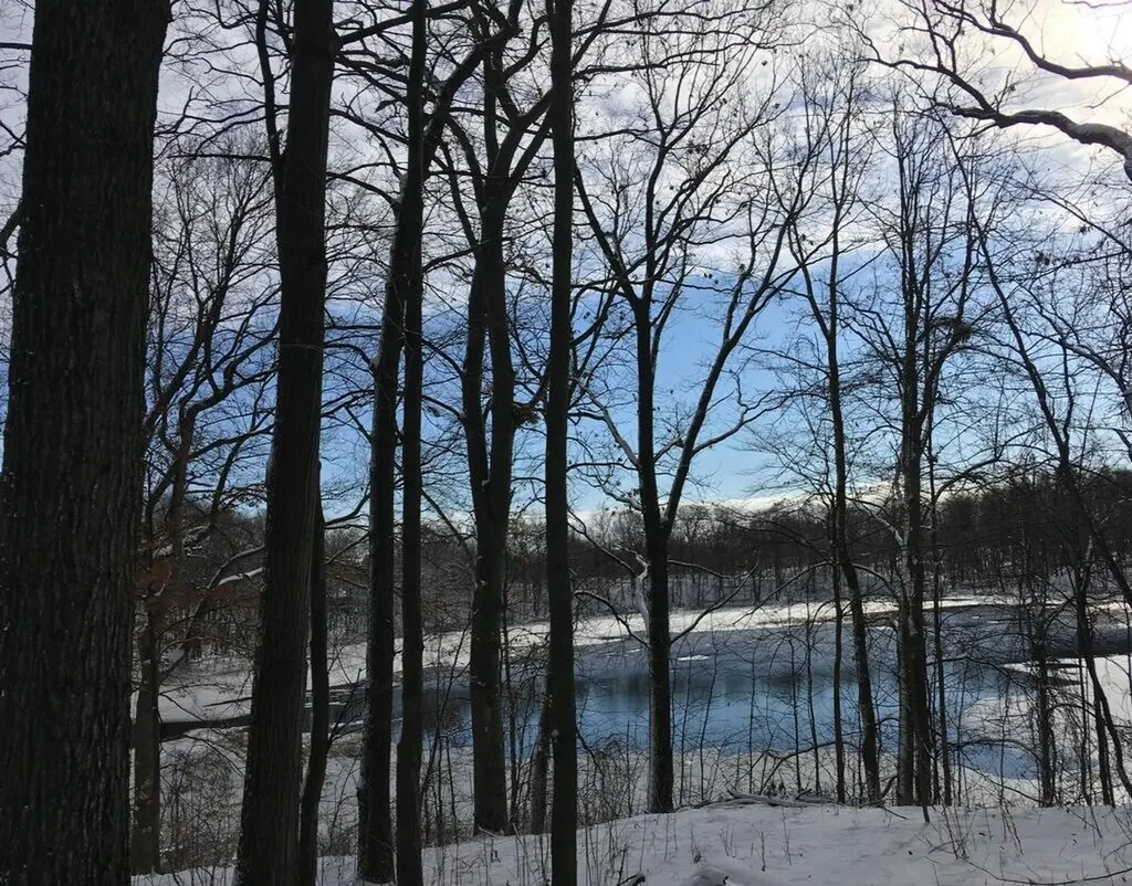 78750 South Court Porter Township MI 49065