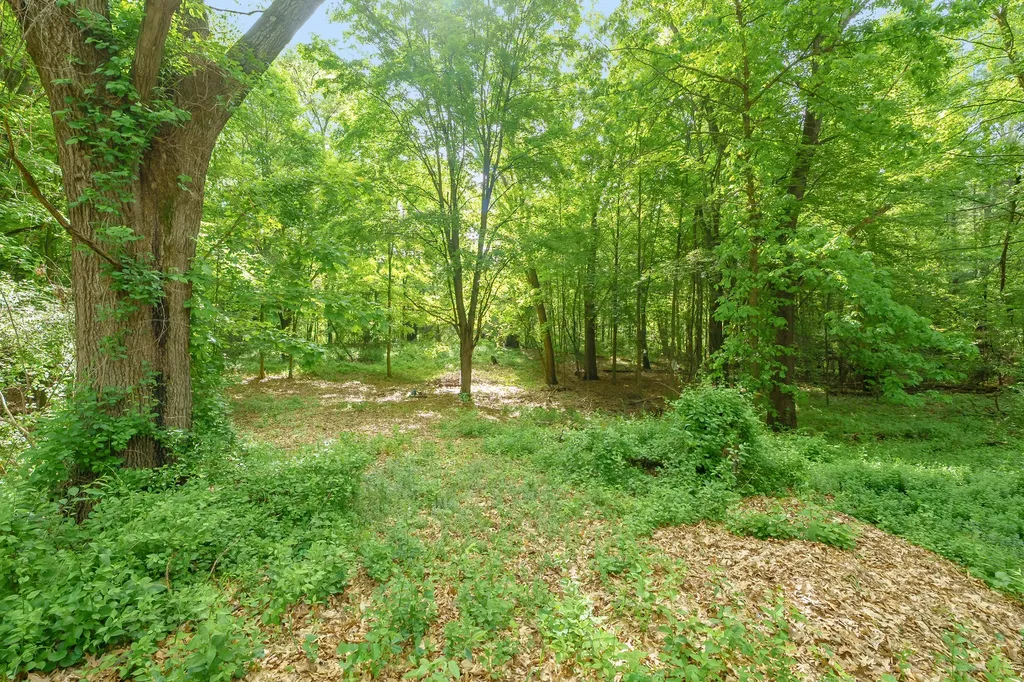 5144 N 39th Street Ross Township MI 49012