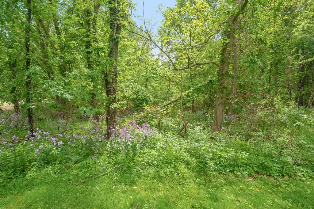7132 S 27th Street Pavilion Township MI 49088
