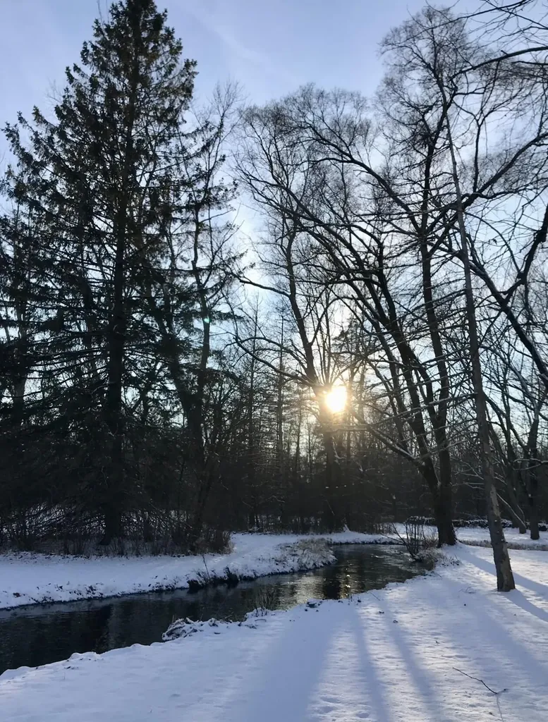 3086 Springbrook Drive Cooper Charter Township MI 49004