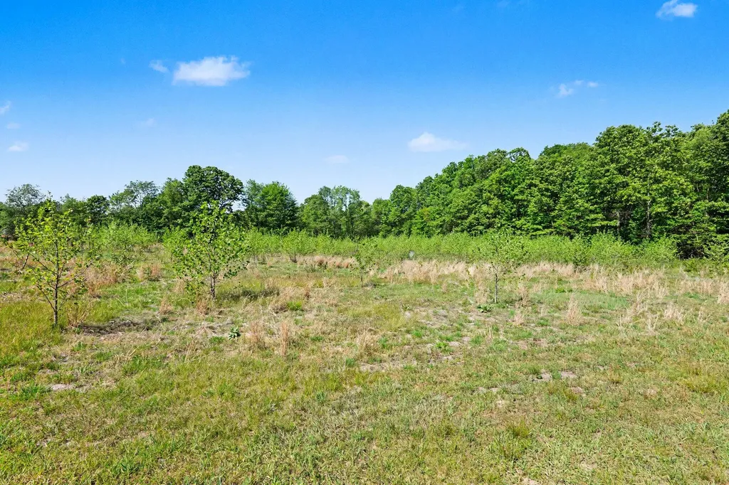 213 19th Street Otsego Township MI 49078