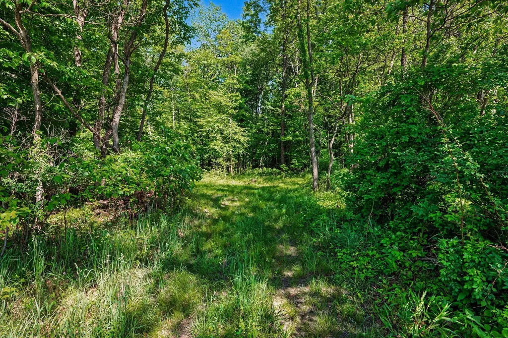 213 19th Street Otsego Township MI 49078