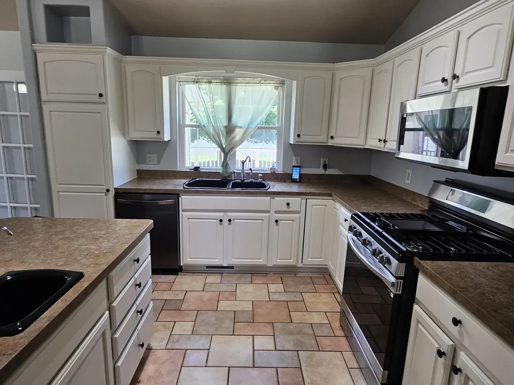 223 Leo Drive Burlington Village MI 49029
