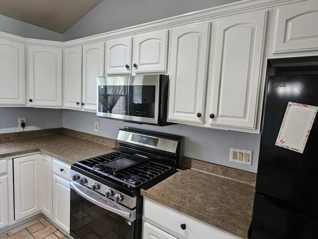 223 Leo Drive Burlington Village MI 49029