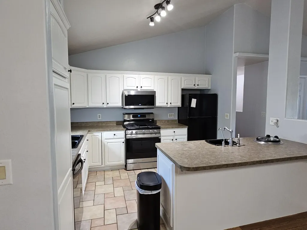 223 Leo Drive Burlington Village MI 49029