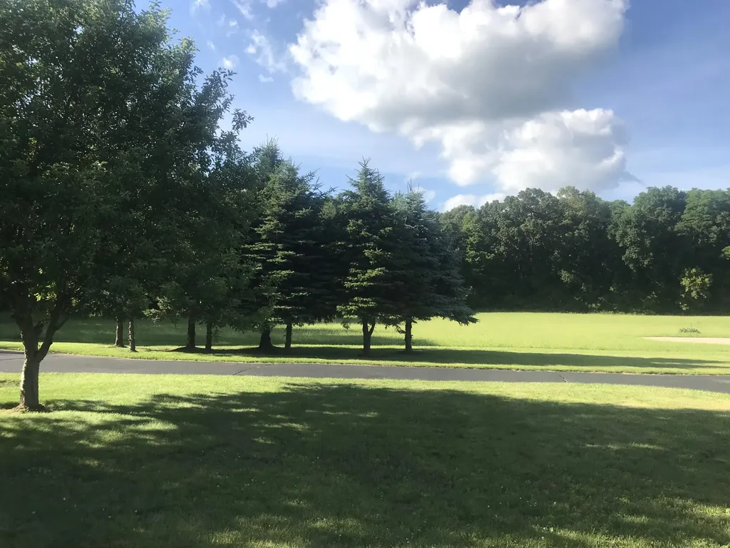 223 Leo Drive Burlington Village MI 49029