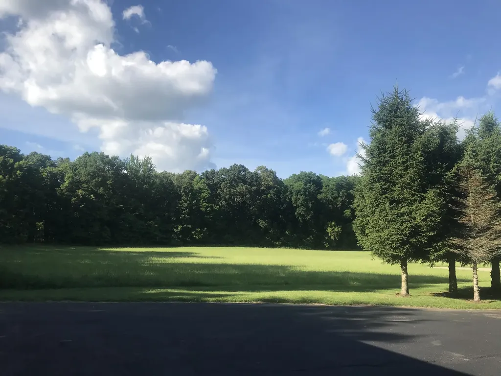 223 Leo Drive Burlington Village MI 49029