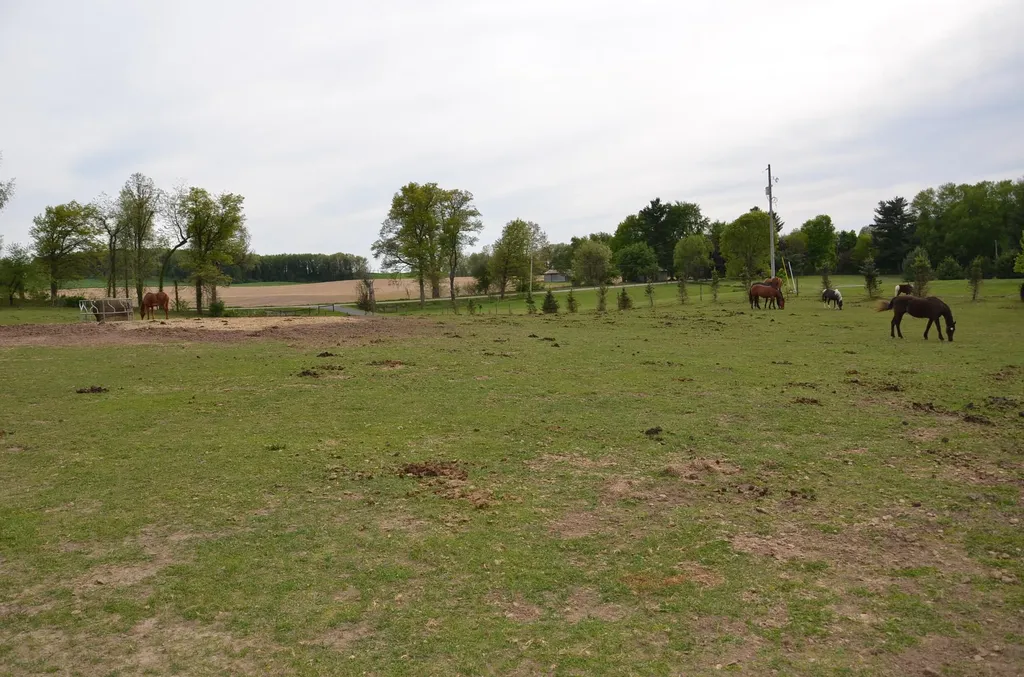 11475 Gorsline Road Pennfield Charter Township MI 49014
