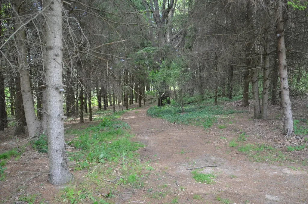 11475 Gorsline Road Pennfield Charter Township MI 49014