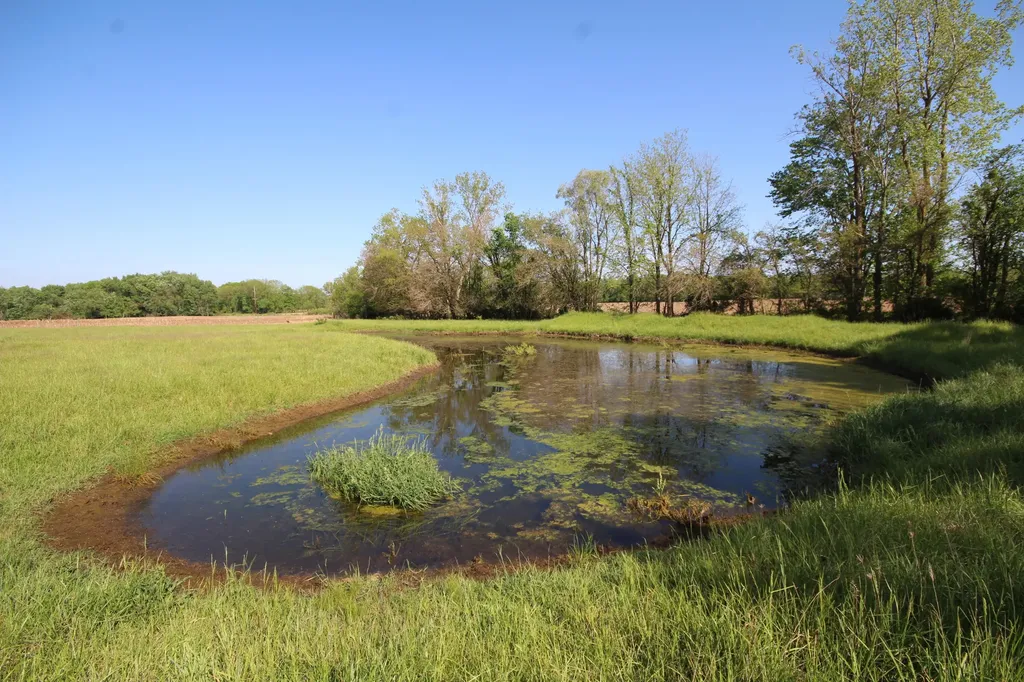 15168 S 37th Street Wakeshma Township MI 49097