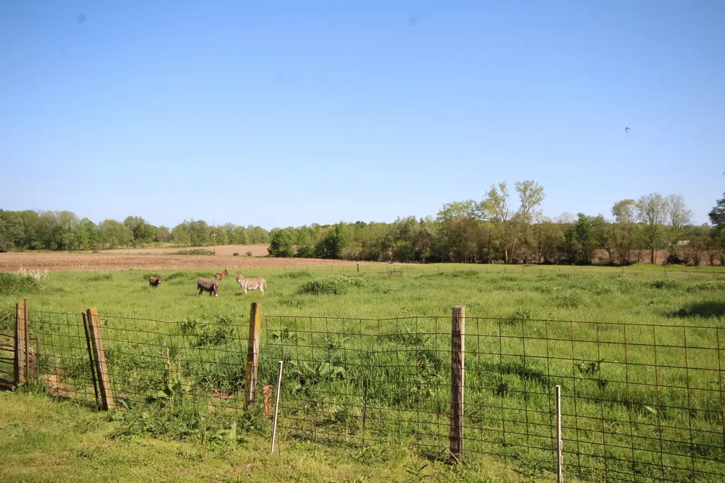 15168 S 37th Street Wakeshma Township MI 49097