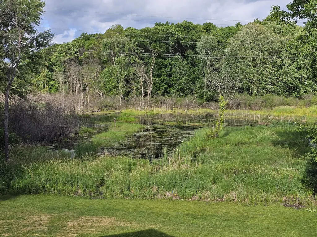 6945 Hunters Creek Comstock Charter Township MI 49048