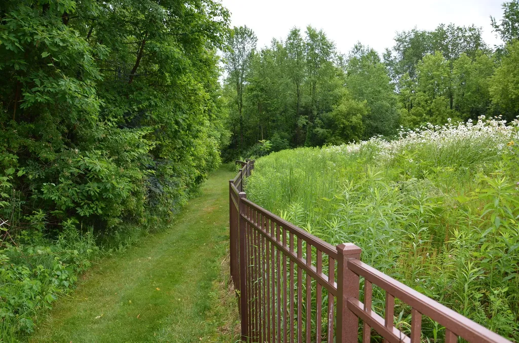 8874 1 Mile Road Leroy Township MI 49051