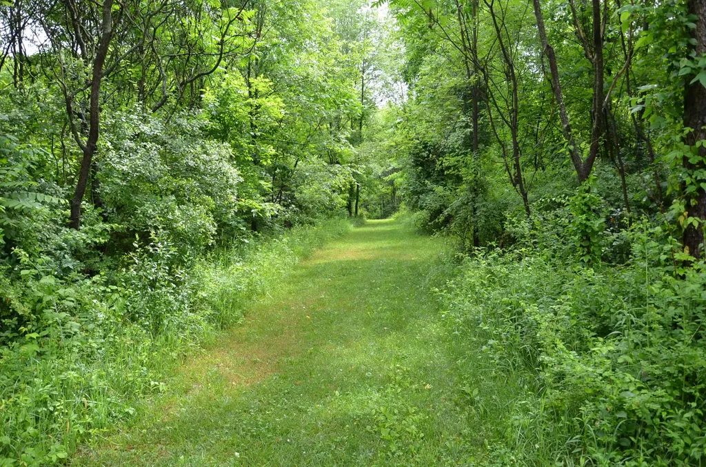 8874 1 Mile Road Leroy Township MI 49051