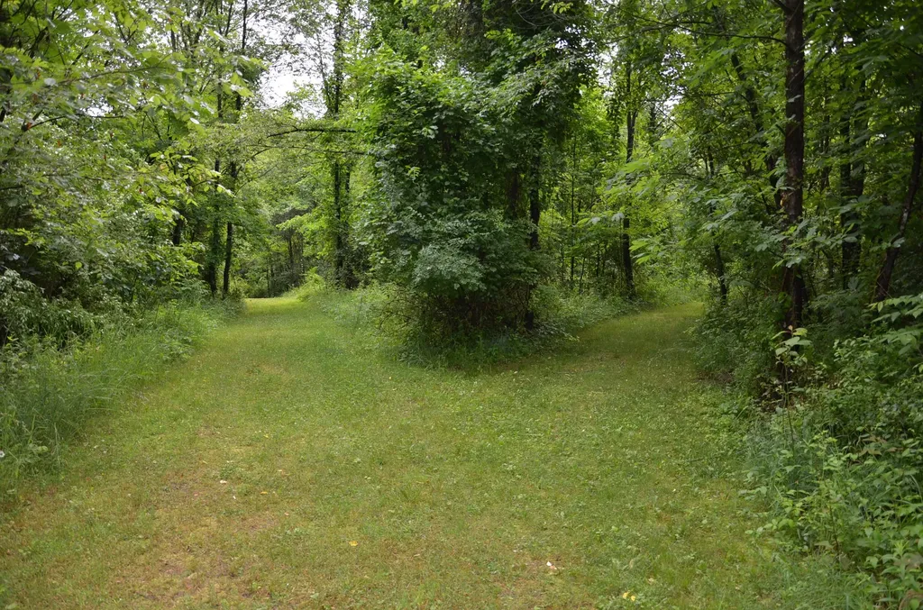 8874 1 Mile Road Leroy Township MI 49051