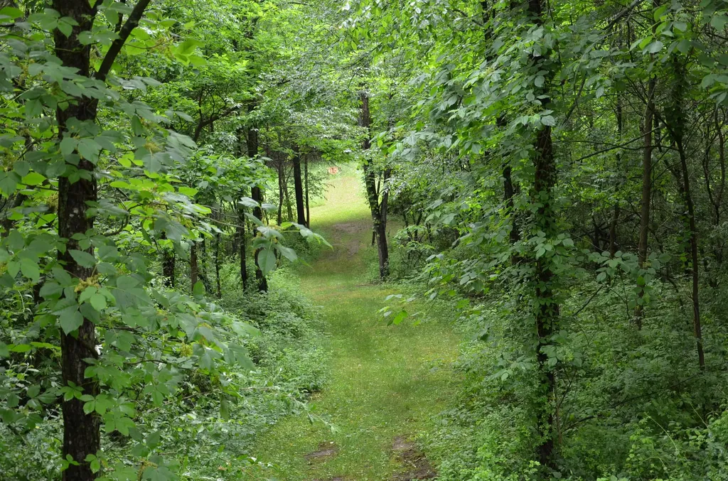 8874 1 Mile Road Leroy Township MI 49051