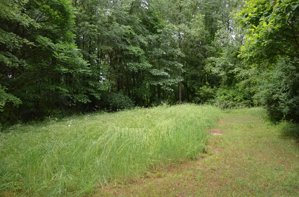 8874 1 Mile Road Leroy Township MI 49051