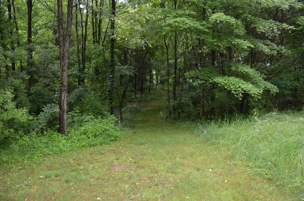 8874 1 Mile Road Leroy Township MI 49051