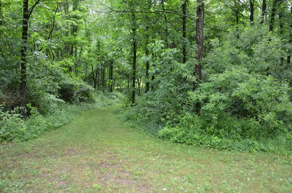 8874 1 Mile Road Leroy Township MI 49051