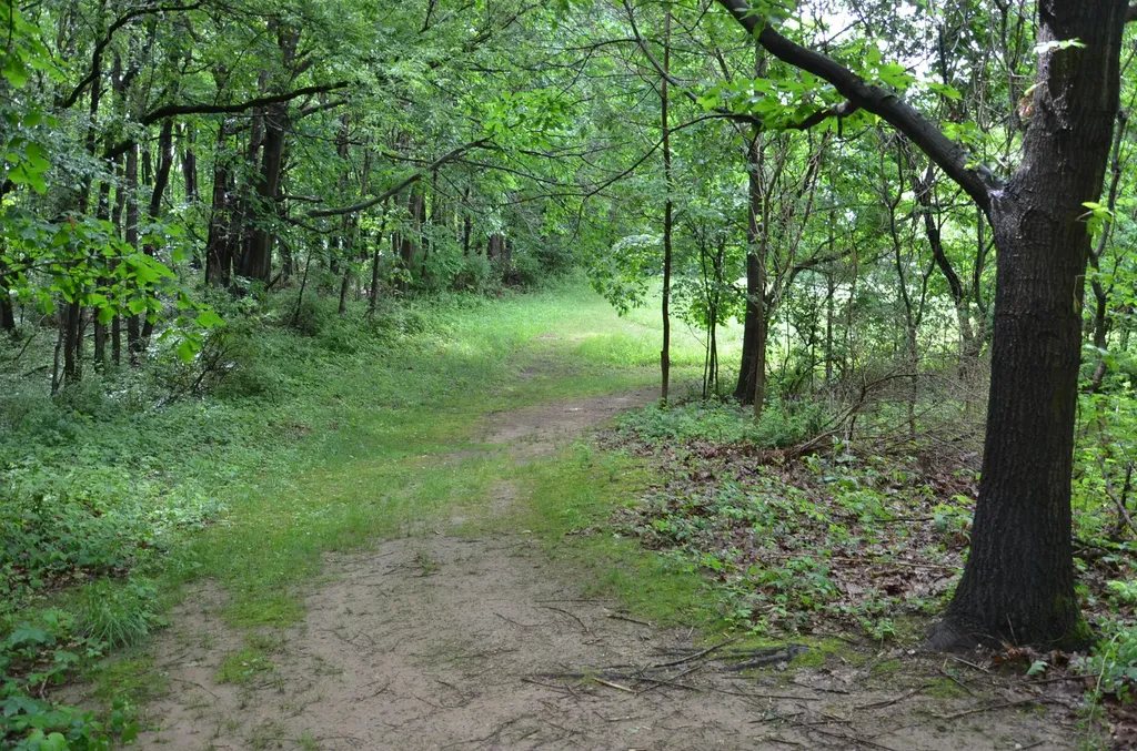 8874 1 Mile Road Leroy Township MI 49051