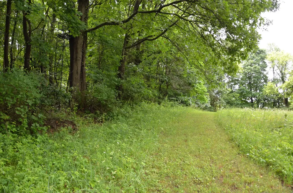 8874 1 Mile Road Leroy Township MI 49051