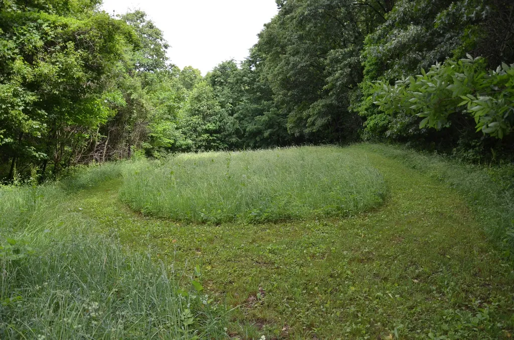 8874 1 Mile Road Leroy Township MI 49051