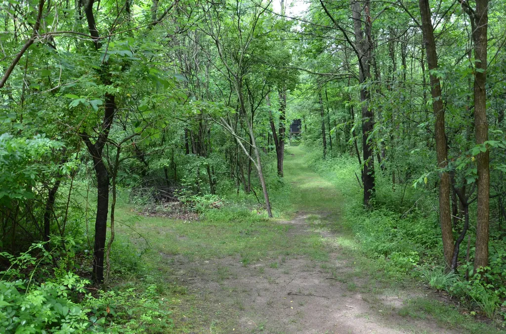 8874 1 Mile Road Leroy Township MI 49051