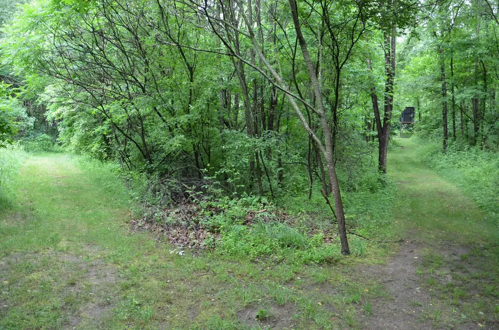 8874 1 Mile Road Leroy Township MI 49051