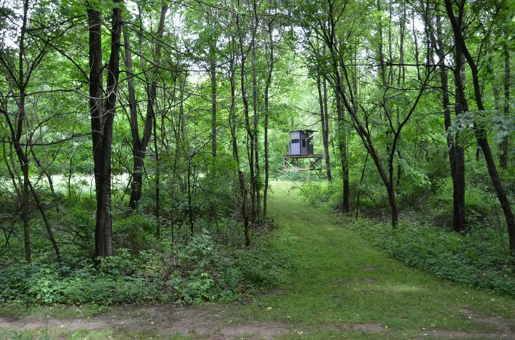 8874 1 Mile Road Leroy Township MI 49051