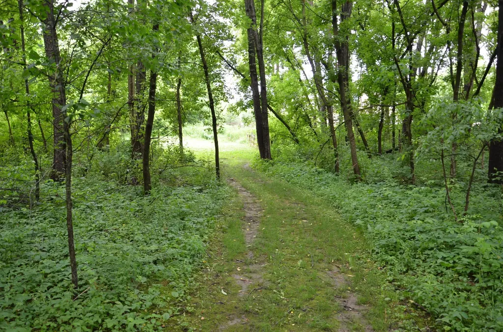 8874 1 Mile Road Leroy Township MI 49051