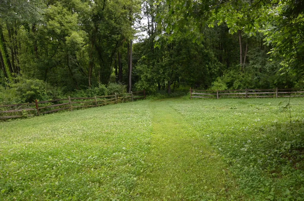 8874 1 Mile Road Leroy Township MI 49051