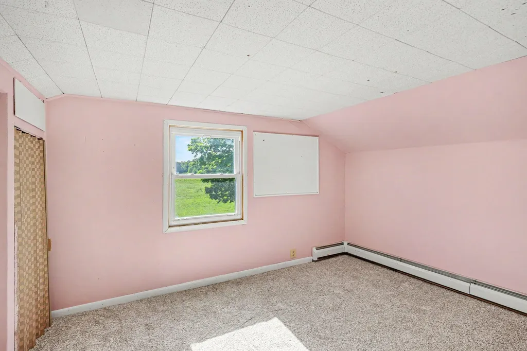 6923 Young Road Bellevue Township MI 49021