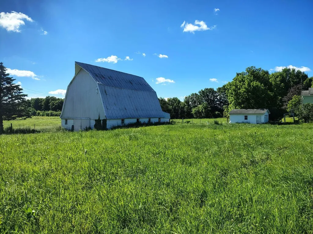 6923 Young Road Bellevue Township MI 49021