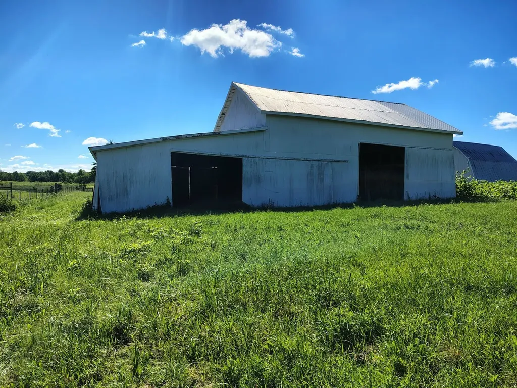 6923 Young Road Bellevue Township MI 49021