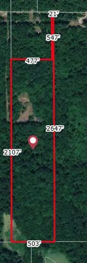 11803 Hoffman Road Fabius Township MI 49093