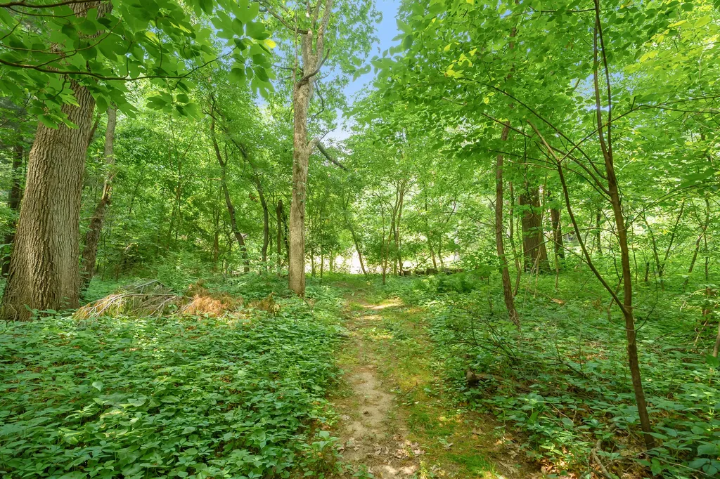 5434 Saddle Club Drive Texas Charter Township MI 49009