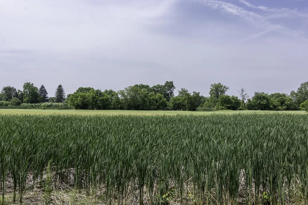 6125 W X Y Avenue Prairie Ronde Township MI 49087