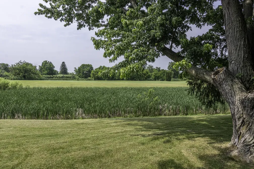 6125 W X Y Avenue Prairie Ronde Township MI 49087