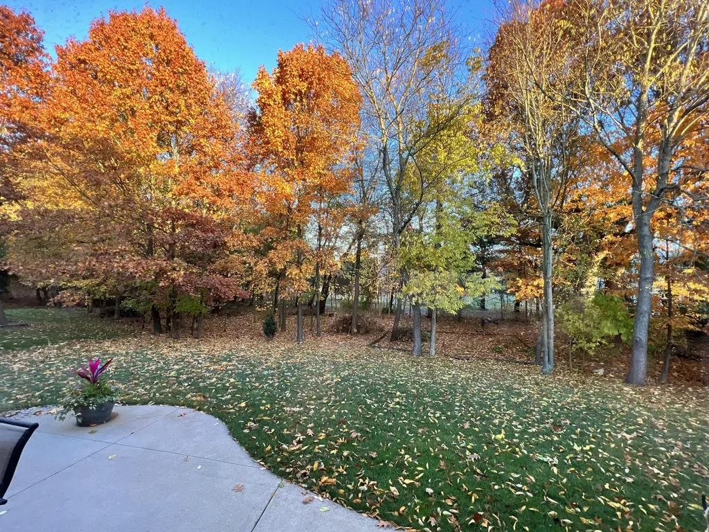 7506 Haflinger Texas Charter Township MI 49009