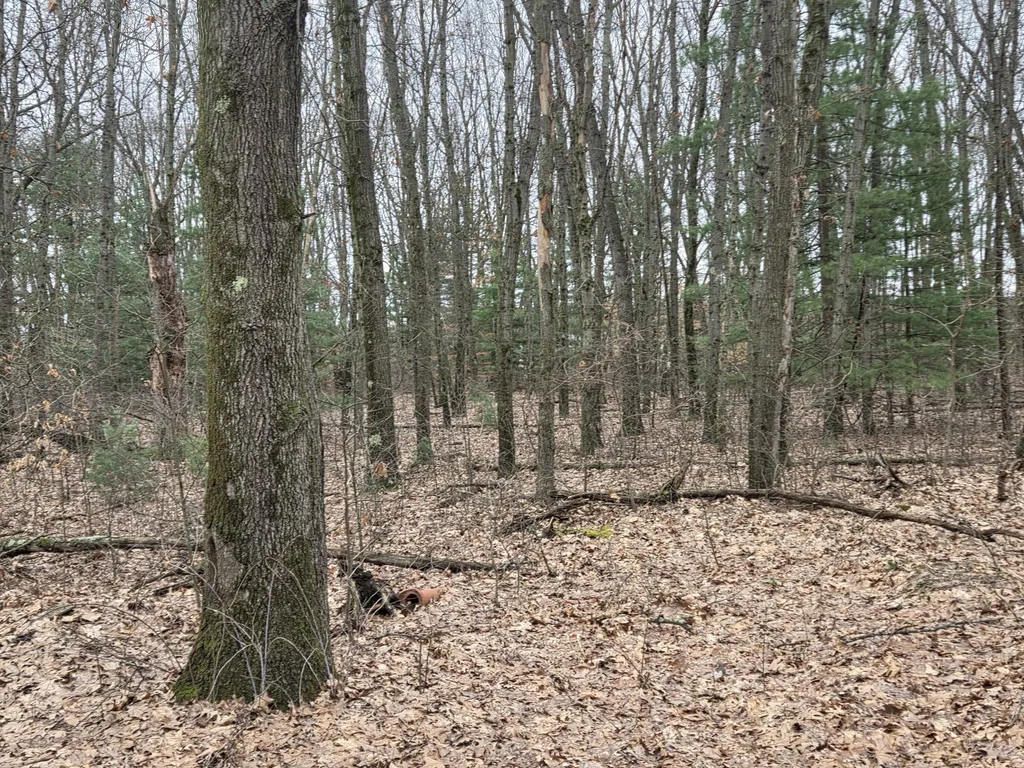 26641 60th Avenue Antwerp Township MI 49071