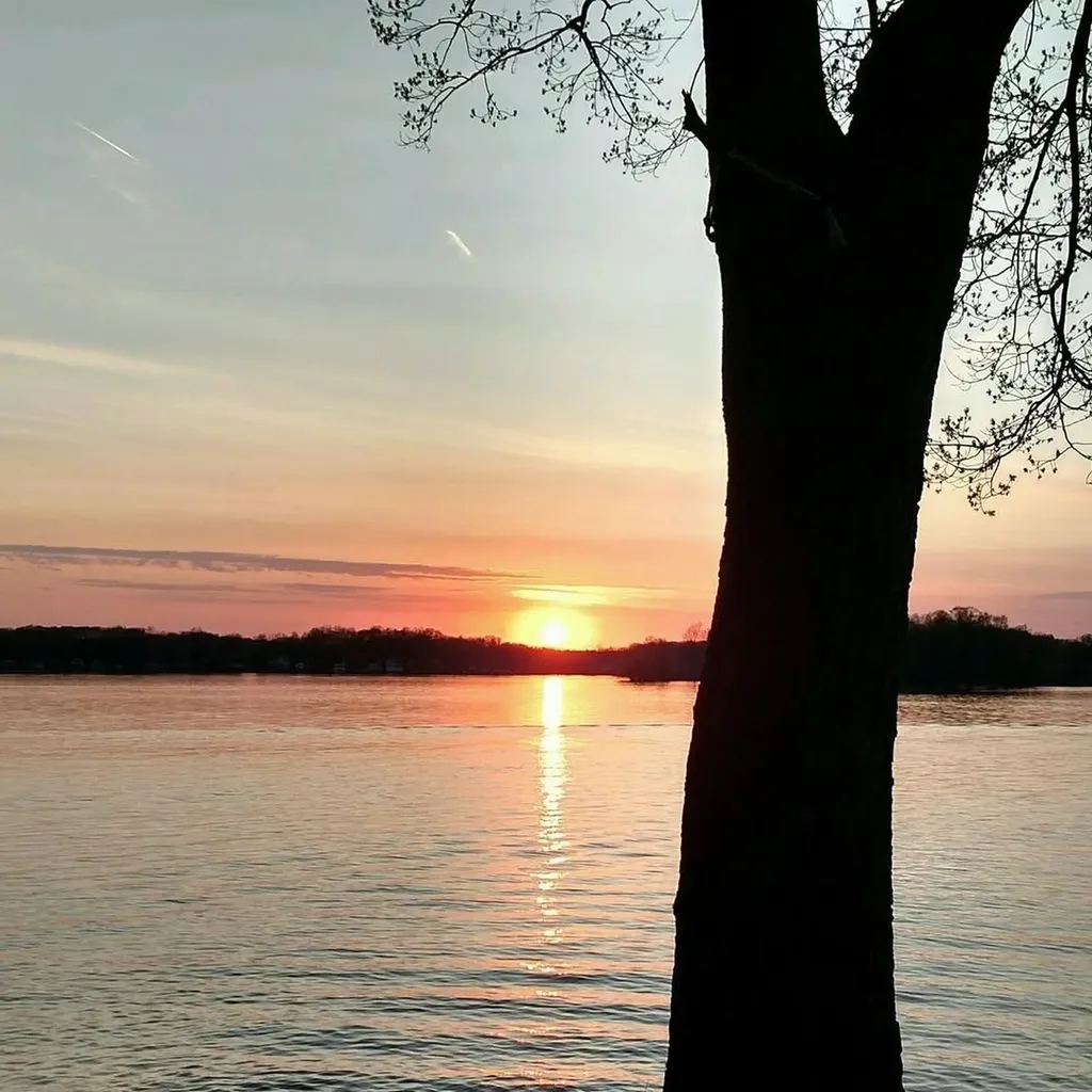 11362 E Shore Drive Barry Township MI 49046