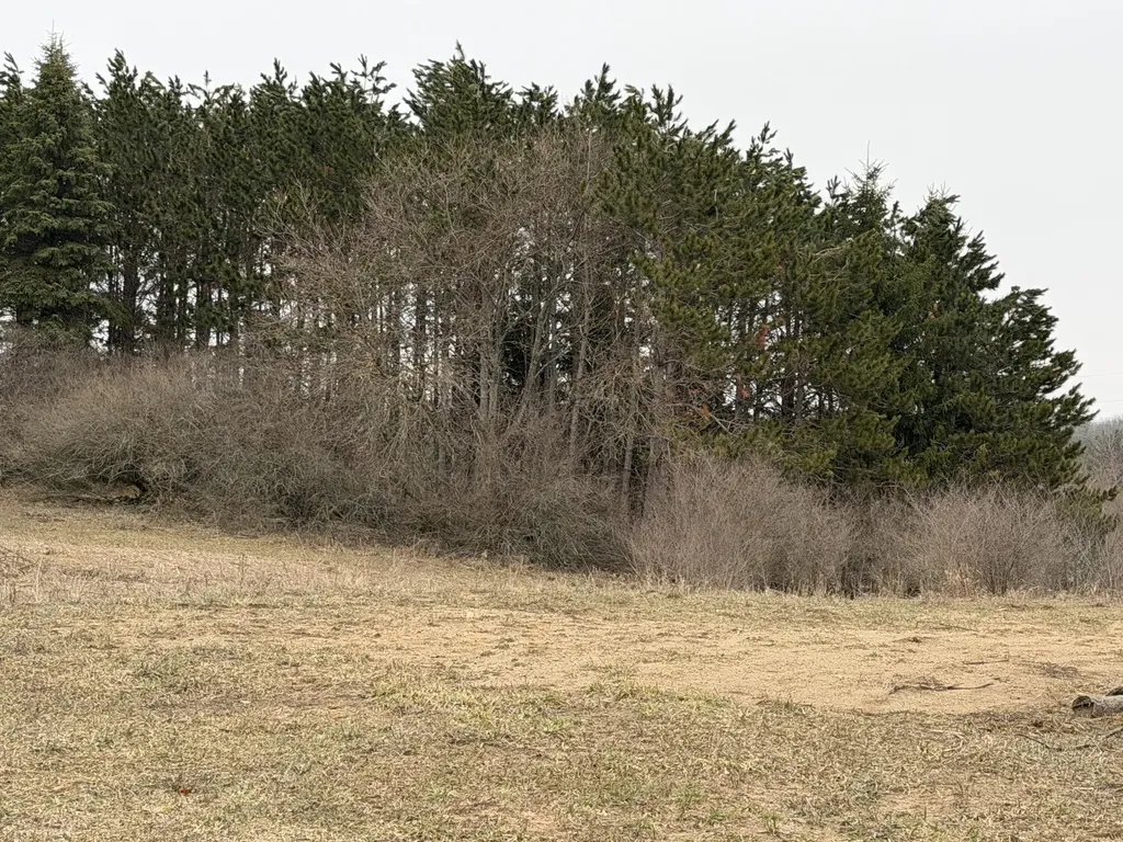7202 21 Mile Road Chippewa Township MI 49631