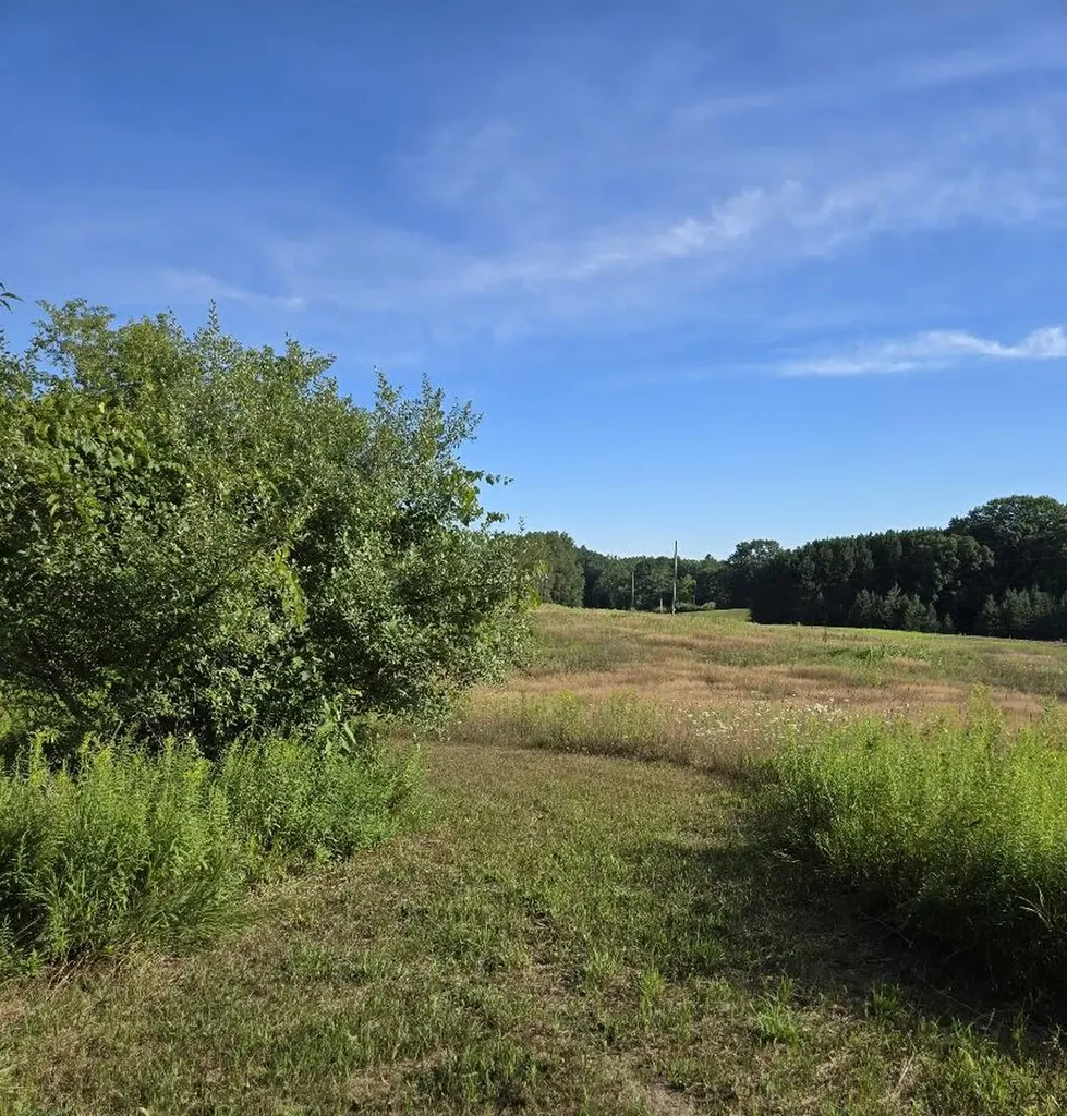 7202 21 Mile Road Chippewa Township MI 49631