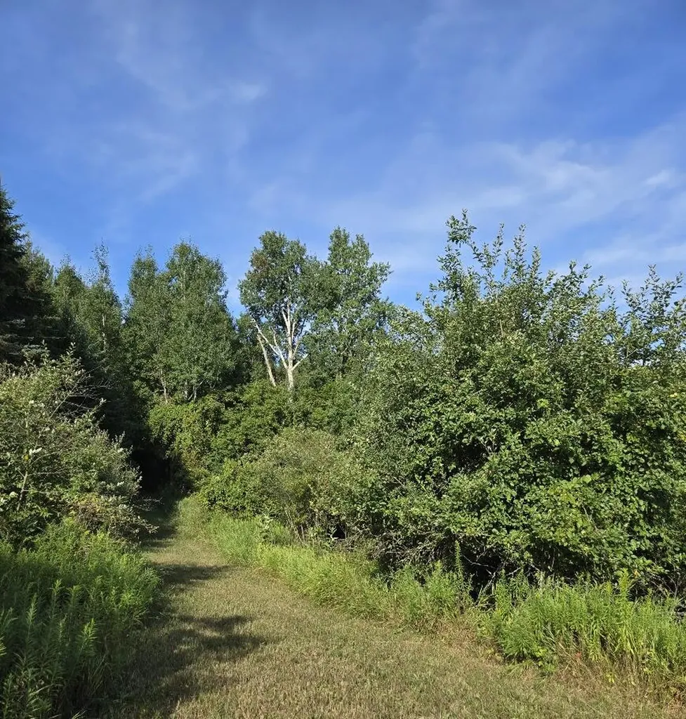 7202 21 Mile Road Chippewa Township MI 49631
