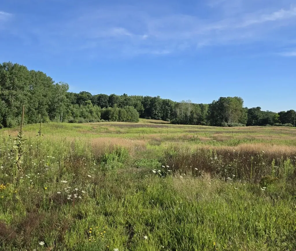 7202 21 Mile Road Chippewa Township MI 49631